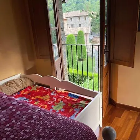 Riudaura Holiday home *