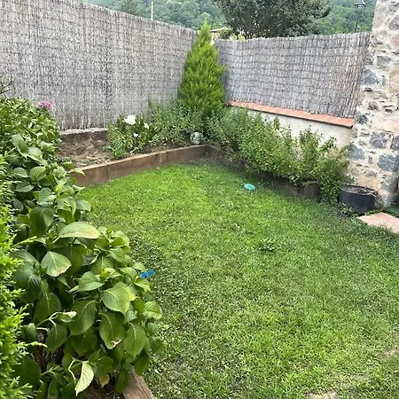 Riudaura Holiday home *